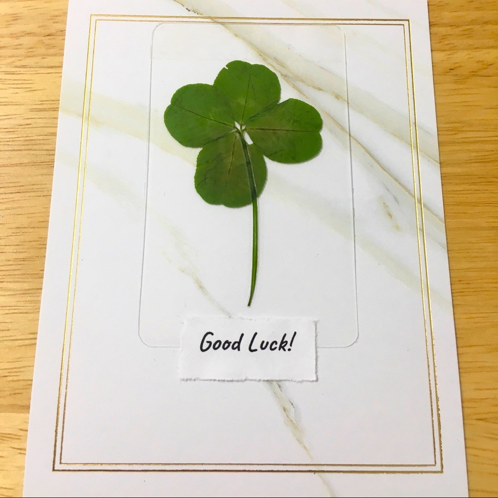 Four-Leaf Clover Good Luck Cards 🍀 Decorative Notecards for Gift and/or Display